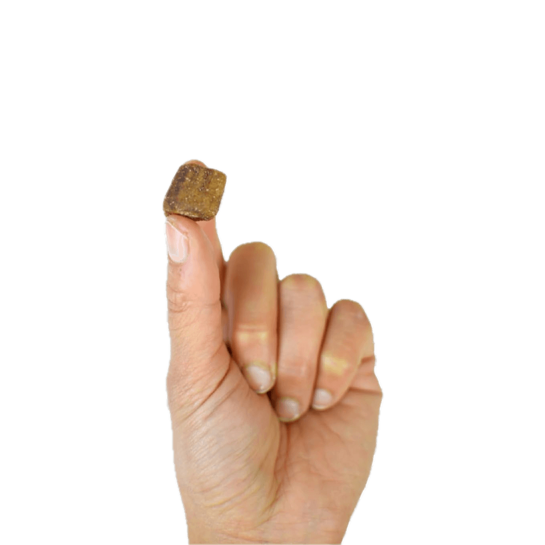 Dried organic banana cubes