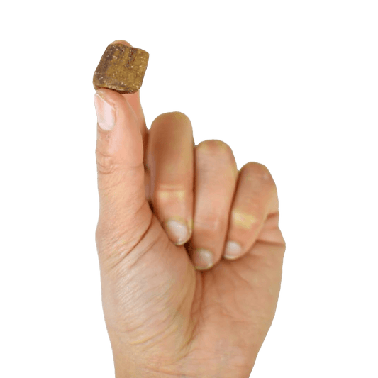 dried organic banana cubes