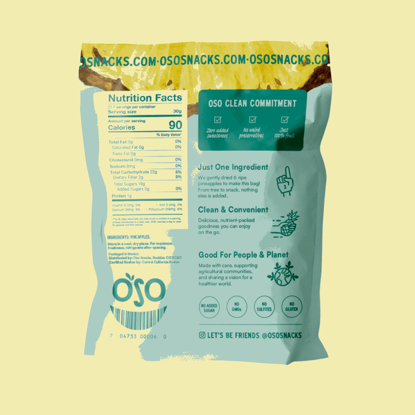 back part of the bag